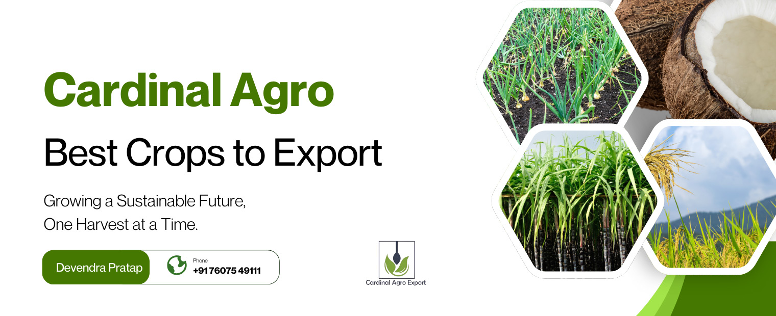 www.cardinalagro.com